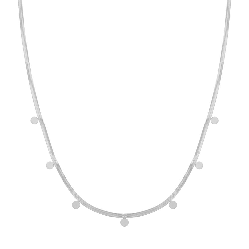 Ketting grote muntjes zilver Ketting grote muntjes zilver